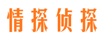 北辰市侦探公司